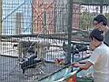Resize of DSC00135.jpg
